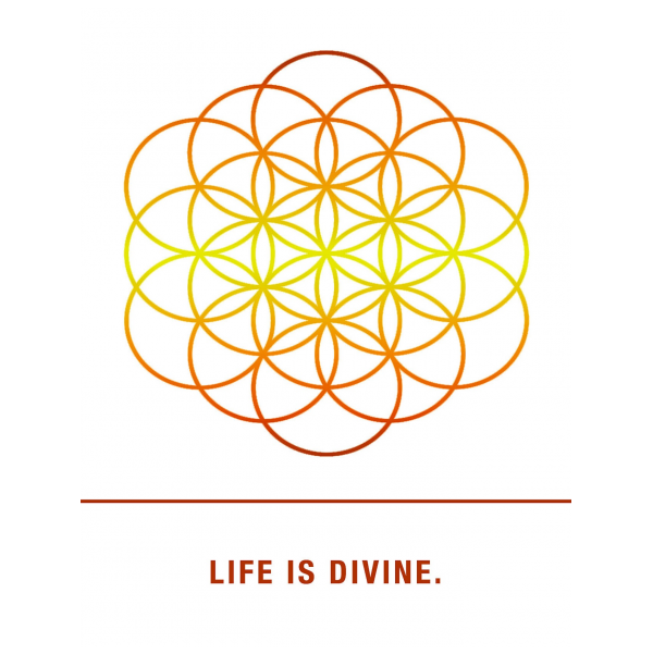 Life is Divine. greeting card from the Empowerments collection.